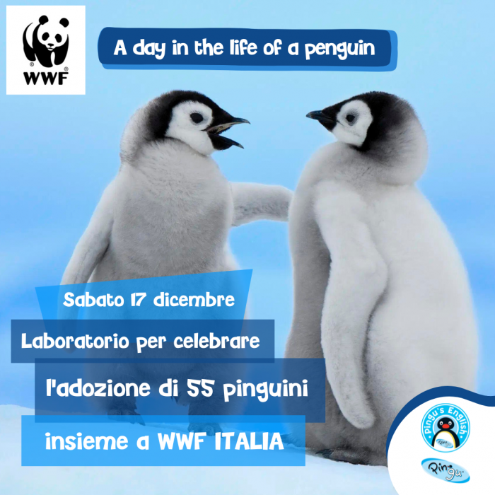 WWF LABORATORIO